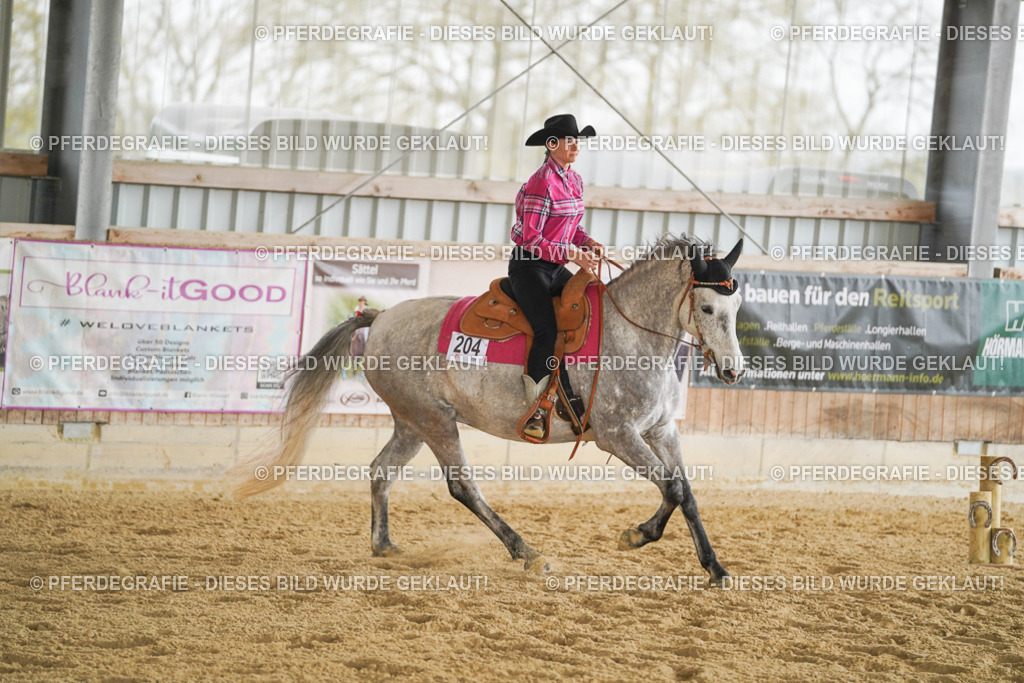 DSC04172 | Pferdegrafie