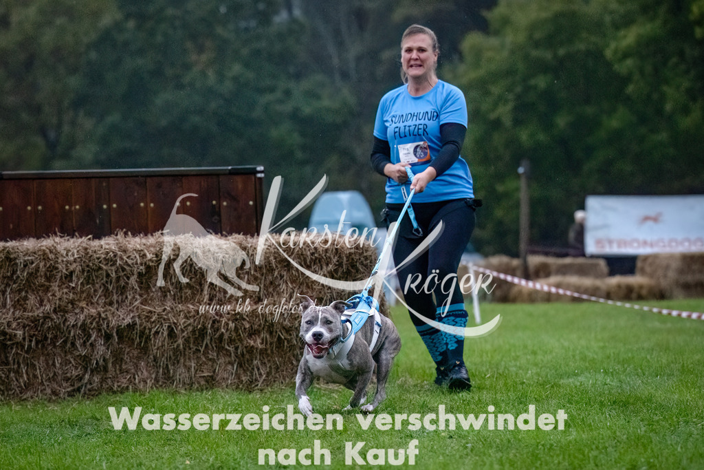 0812-_ZZ90639-Bearbeitet-Bearbeitet | kk-dogfotos
