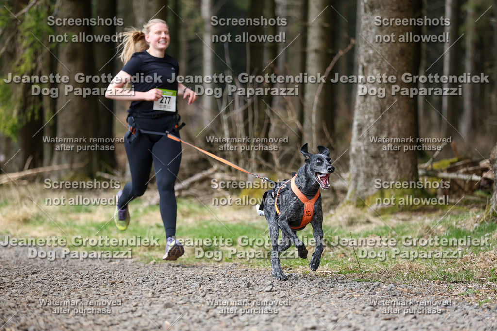 Dog Paparazzi - VCC26-417 | Dog Paparazzi Jeanette Grottendiek Fotografie & Videografie - Realisiert mit Pictrs.com
