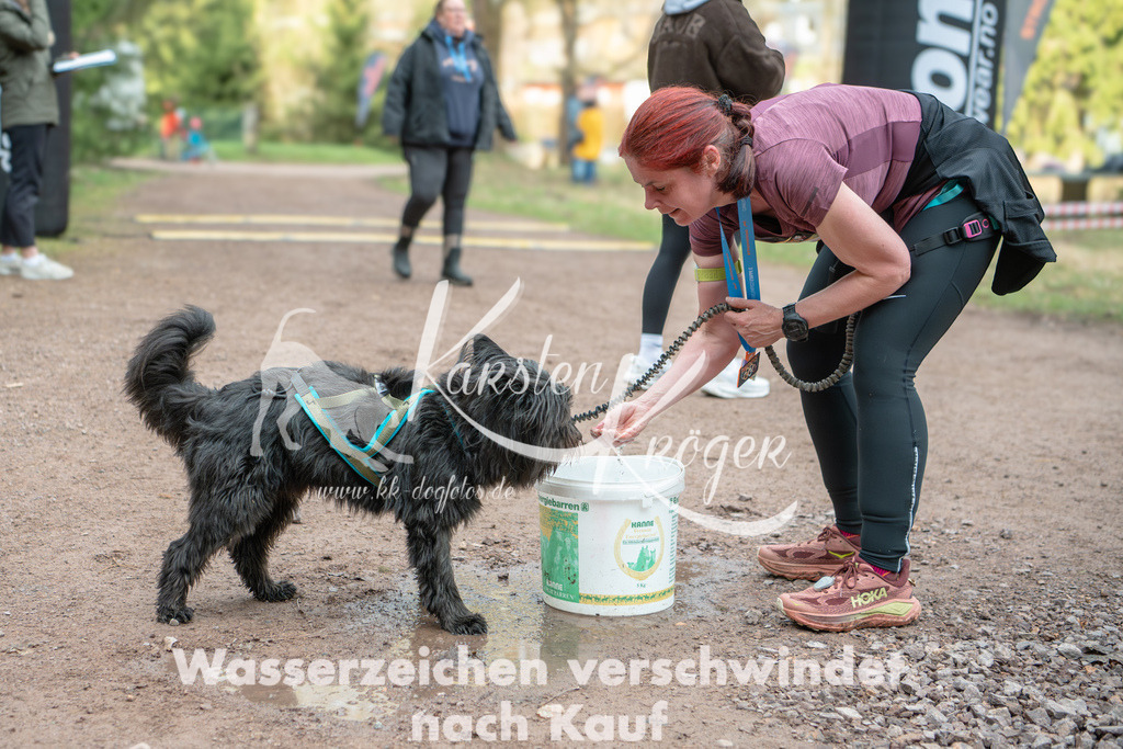 0847DZ6_0781 | kk-dogfotos