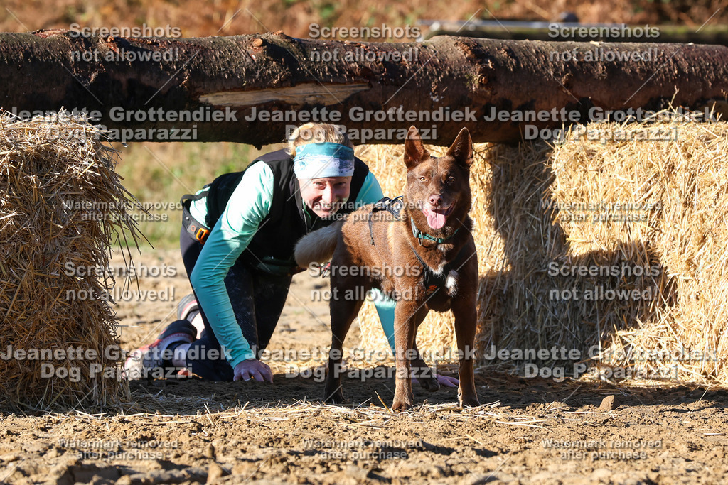 Dog Paparazzi - Strongdog 10-25-1458 | Dog Paparazzi Jeanette Grottendiek Fotografie & Videografie - Realisiert mit Pictrs.com