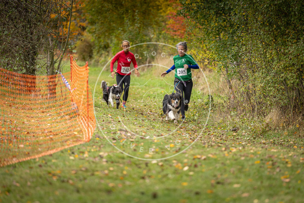 Pfotenfotografie_DV3A4112 | Hundefotografie, Tierfotograf, Pfotenfotografie, Fotoshooting Hund, Hunde Portrait, Hundesport, Hundeportraits, Heideshooting, Hunde, Sportfotograf, Hundefotograf, Turnierhundsport, THS,  - Realisiert mit Pictrs.com