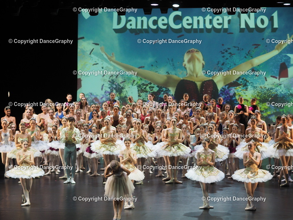 P7260495 | DanceGraphy - Realisiert mit Pictrs.com