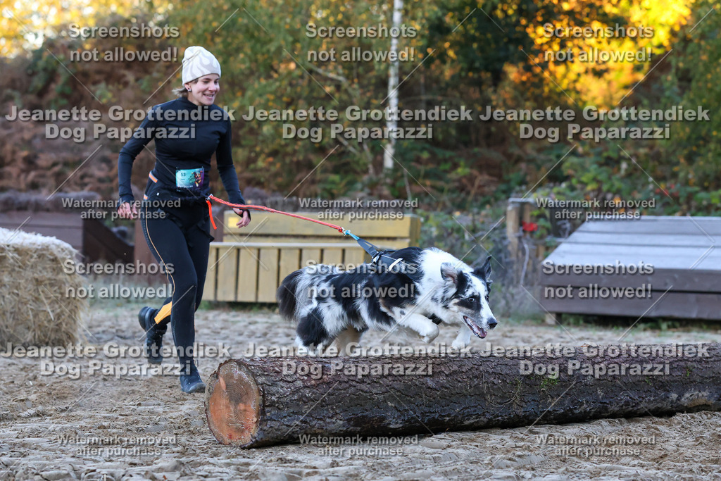 Dog Paparazzi - Strongdog 10-25-278 | Dog Paparazzi Jeanette Grottendiek Fotografie & Videografie - Realisiert mit Pictrs.com