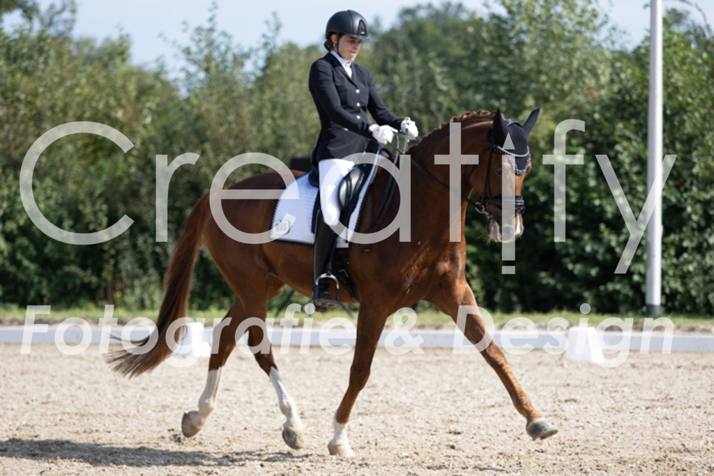 IMG_3162 | Creatify Fotografie