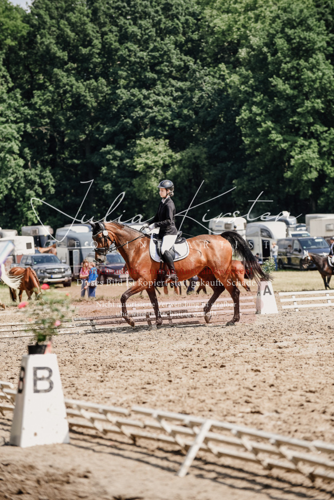 DSC_0465 | Pferde- und Turnierfotografie in Westsachsen. Pferdeportraits, Auftragszeichnungen und intuitive Kunst.