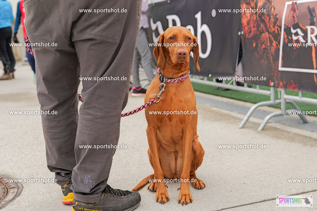 PRAB0455 | GaPa Trail 2025 #gapatrail #yourpictrs #sportshot_your_pictrs Copyright: www.sportshot.de