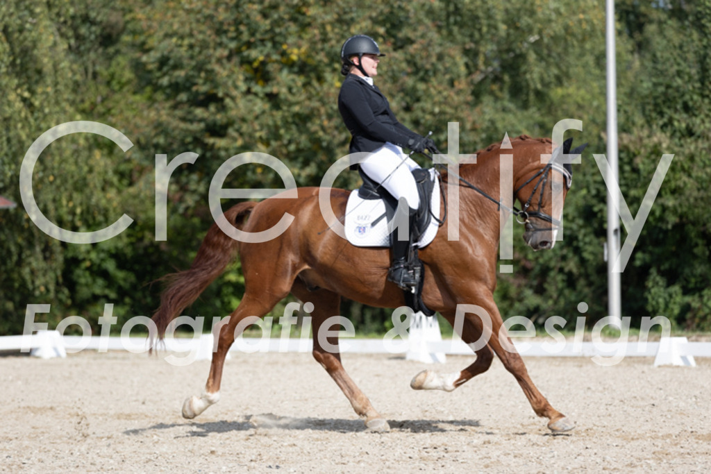 IMG_3958 | Creatify Fotografie