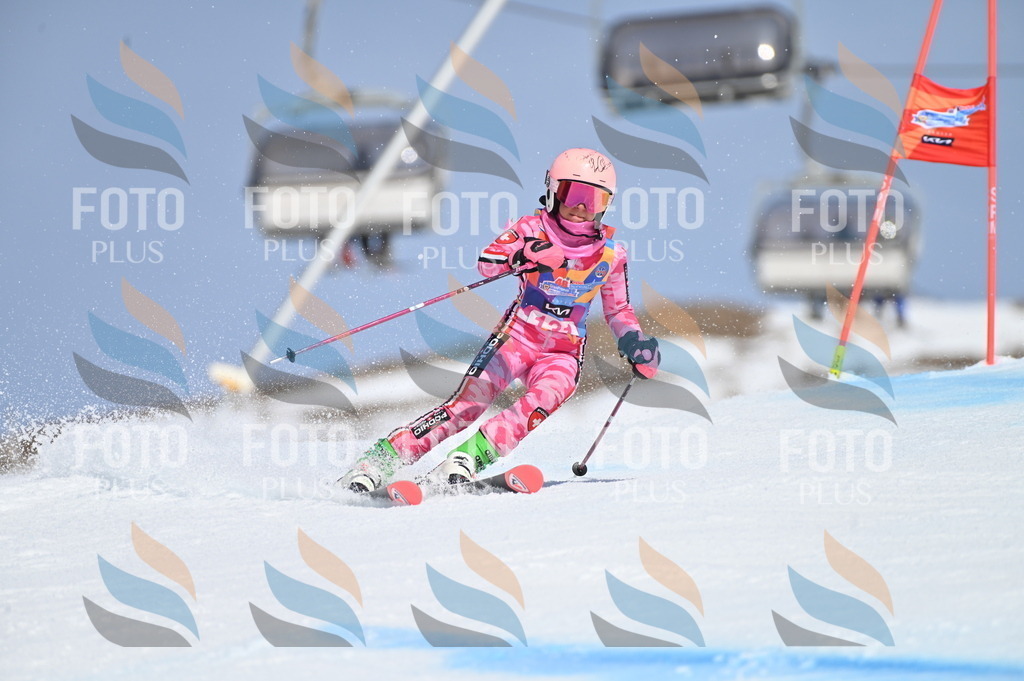 BGV_9998 | holidayphoto