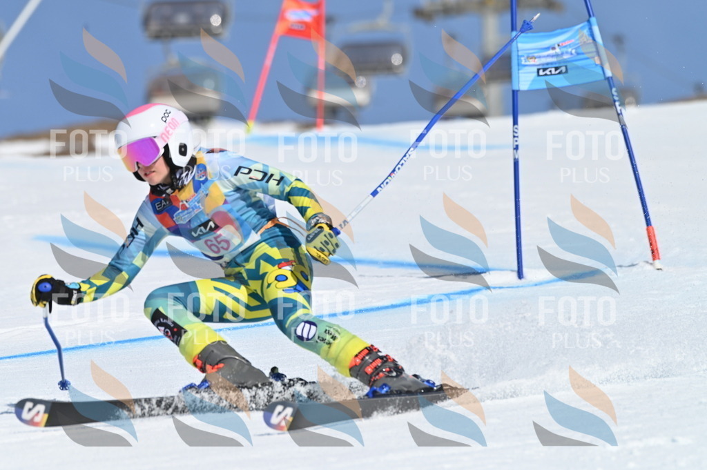 BGV_8832 | holidayphoto