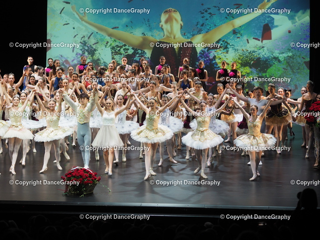 P7260512 | DanceGraphy - Realisiert mit Pictrs.com