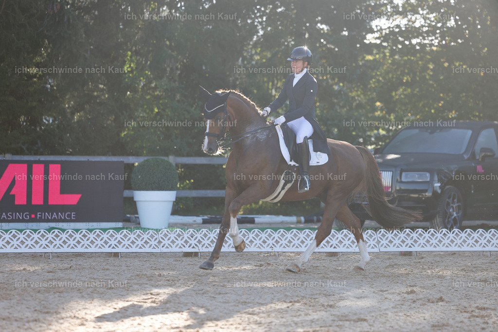 09_1-195-DRESSUR  S_  -StoibPH-5515 | working equitationturnier fotograf videograf stoibphotography marixx film working equitation deutschland reitsport turnierfotografie eventfotografie equestrian events