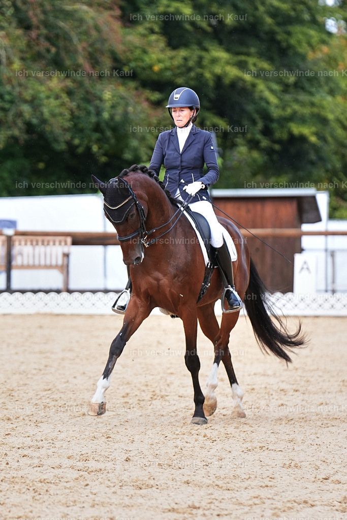 05-117-DRESSUR M_  -Marixx-4977 | working equitationturnier fotograf videograf stoibphotography marixx film working equitation deutschland reitsport turnierfotografie eventfotografie equestrian events