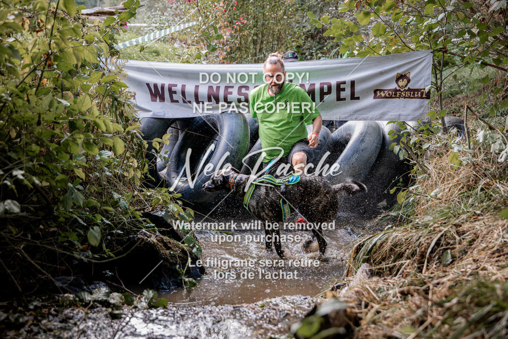nelerasche_Hunsrück2026_Sa1400-1500_70 | nelerasche