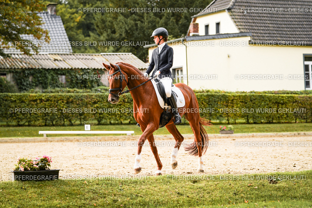 DSC07669 | Pferdegrafie