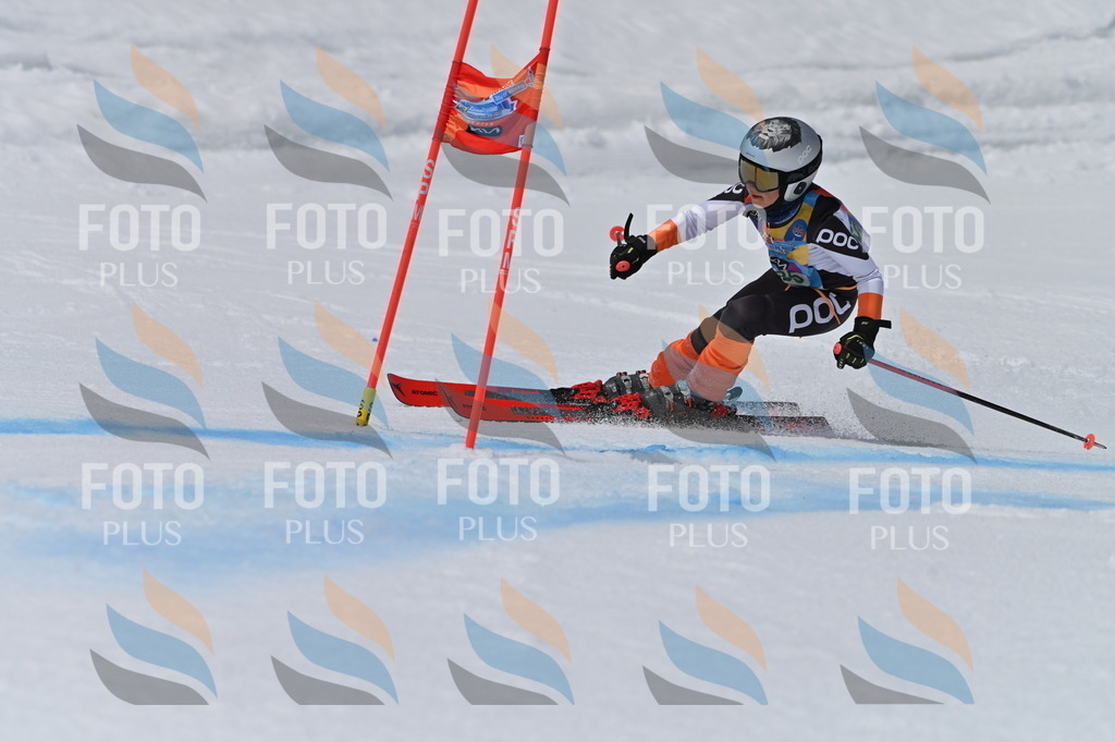 BGV_5687 | holidayphoto