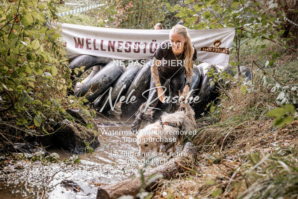 nelerasche_Hunsrück2026_Sa1400-1500_259 | nelerasche