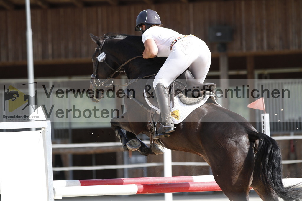 _MG_5269 | equestrian-live-com