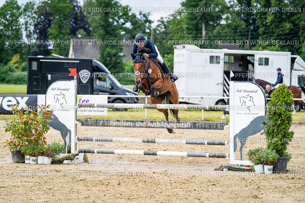 DSC03972 | Pferdegrafie