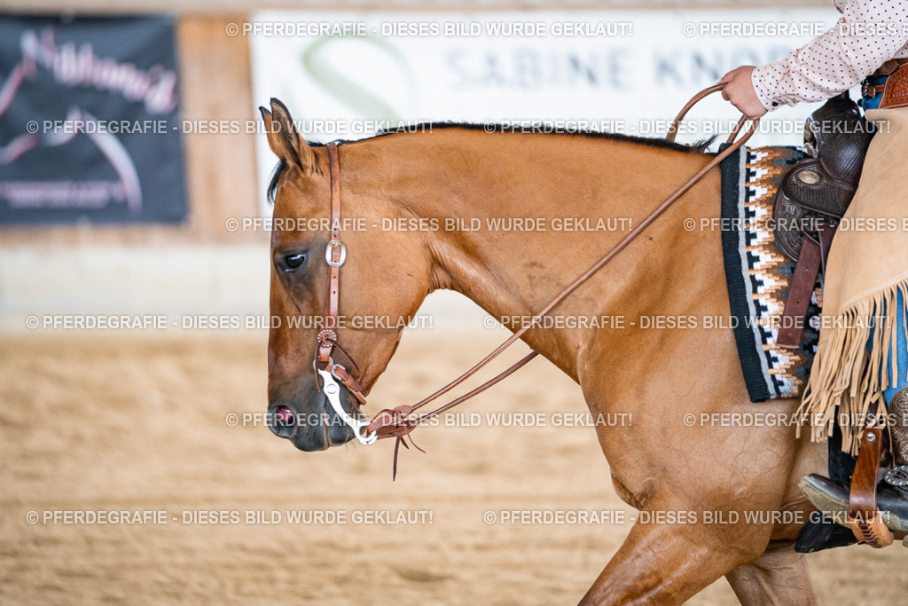 DSC08947 | Pferdegrafie