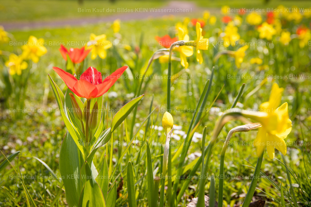 Eichenbarleben-2676 | Park Eichenbarleben - Realisiert mit Pictrs.com