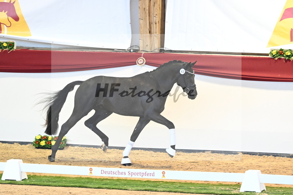 Kat.-Nr. 43 v. Dynamic Dream_Schafhof und Jäckel_2240499 | hf-fotografie - Realisiert mit Pictrs.com