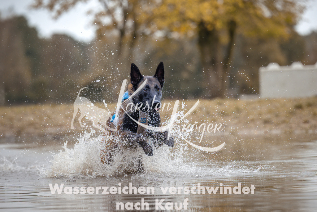 1358_ZZ95021 | kk-dogfotos