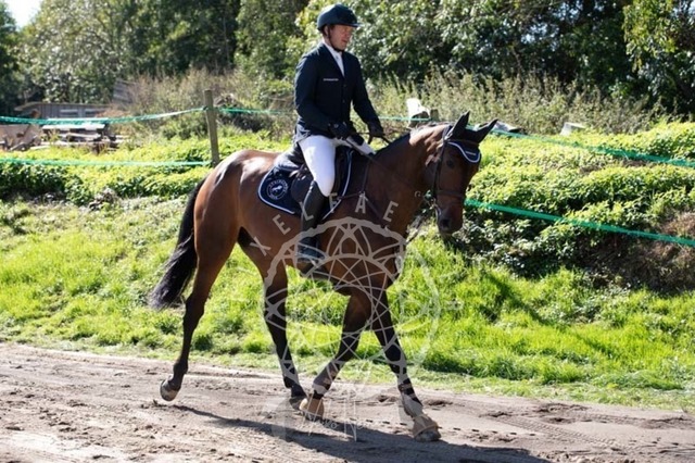 2B4A0321 | pixelfaenger - Realisiert mit Pictrs.com