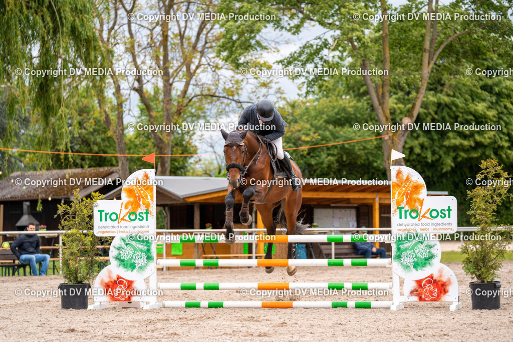 Eppelheim Tag 1-29 | dv-media-shop - Realisiert mit Pictrs.com