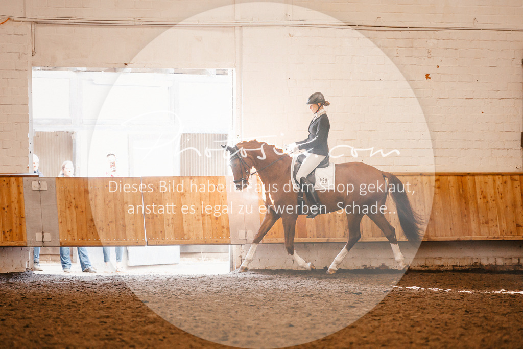 3I6A1920 | Stimmungsvolle Portraits und Reitsportfotografie im Ruhrgebiet und im Münsterland.

Pferdefotografie, Hundefotografie, Tierfotografie, Reportagen, Portraits von Tier und Mensch, Turnierfotografie in Bochum, Recklinghausen, Marl, Haltern am See, Dülmen.. - Realisiert mit Pictrs.com