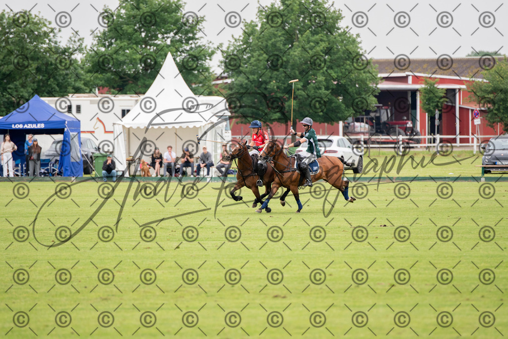 POL_2778 | andre_photographic