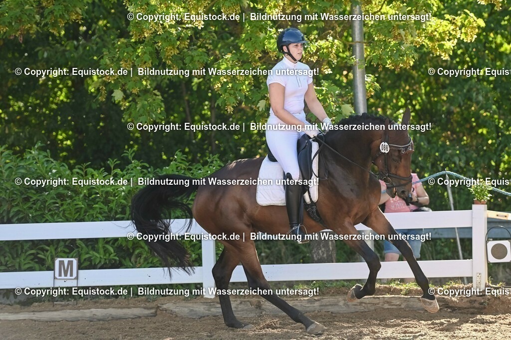 20230715_06_Dressurpferdeprfg. Kl.A_0281 | equistock