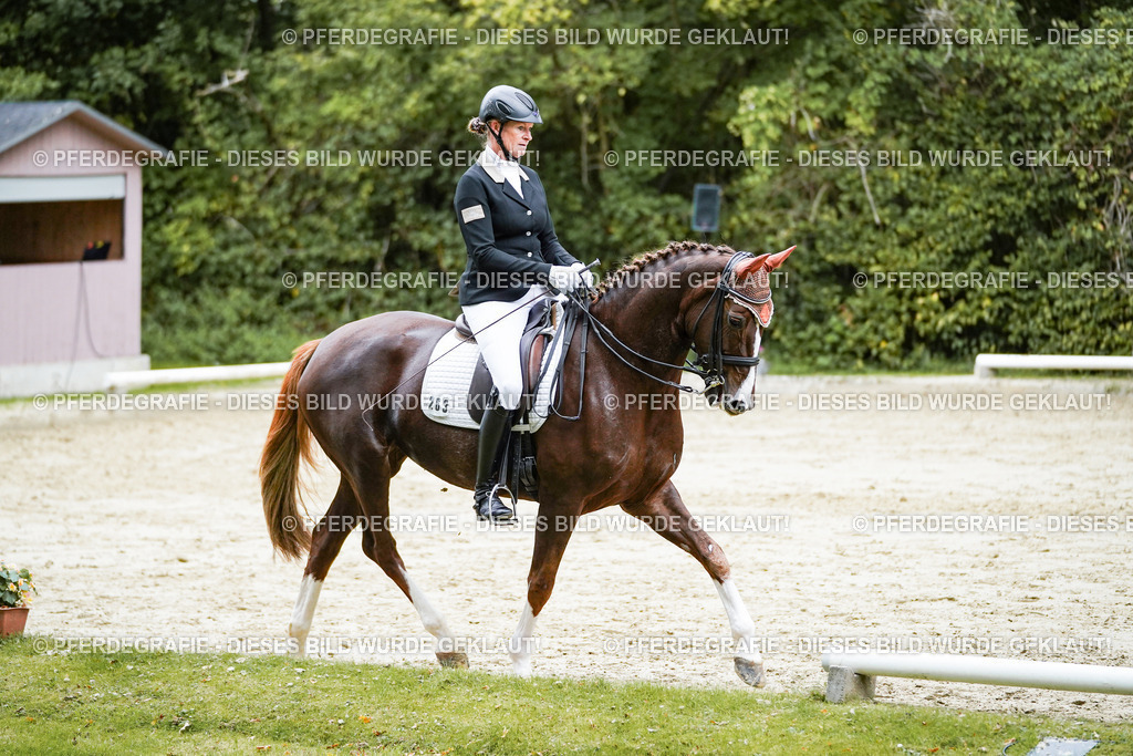 DSC09888 | Pferdegrafie