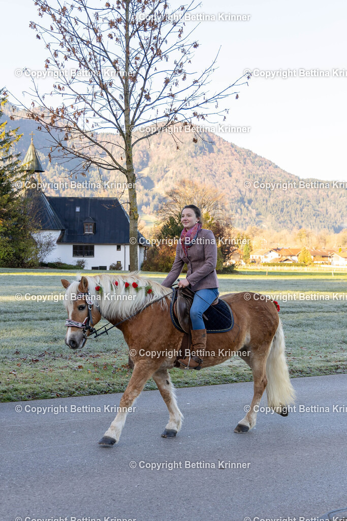 LL24-117 | foto-bettina-krinner - Realisiert mit Pictrs.com