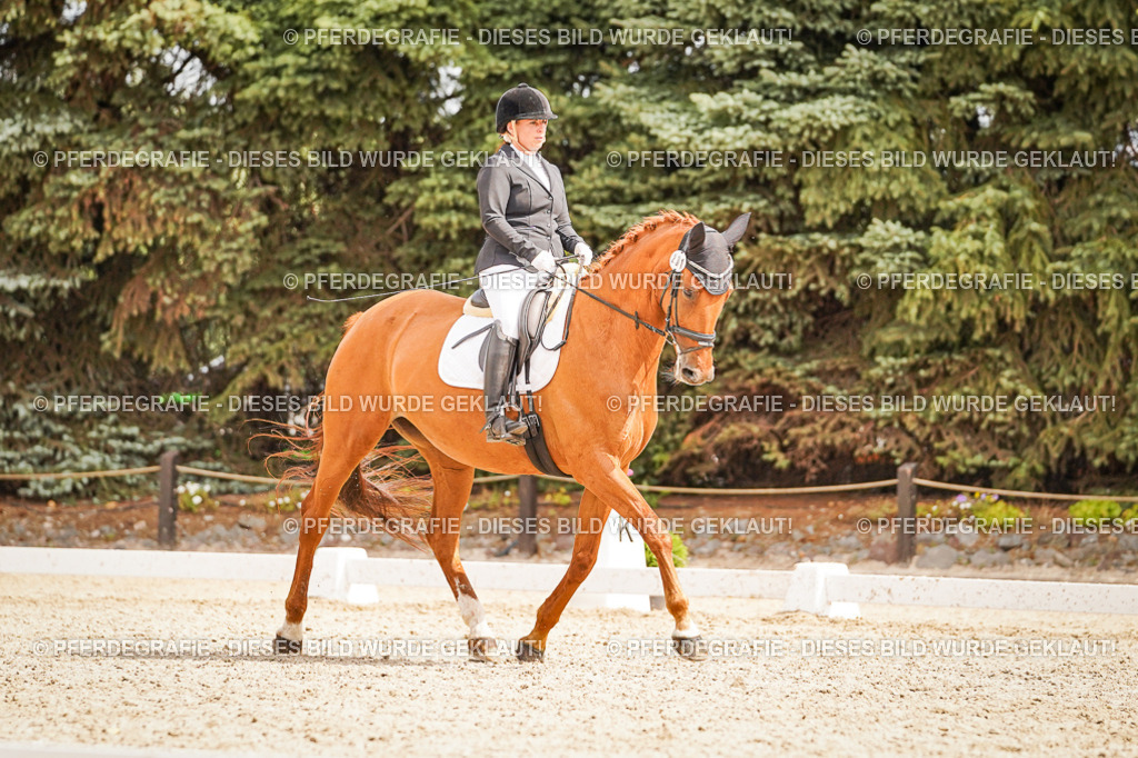 DSC01786 | Pferdegrafie