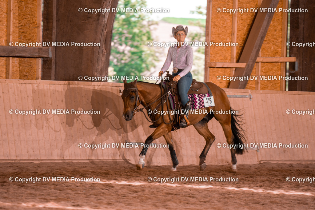 NE300499 | dv-media-shop - Realisiert mit Pictrs.com