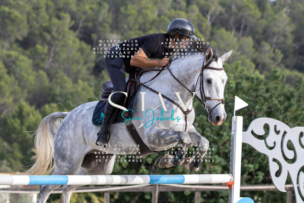 IMG_4826-2 | s-jay-photography - Realisiert mit Pictrs.com