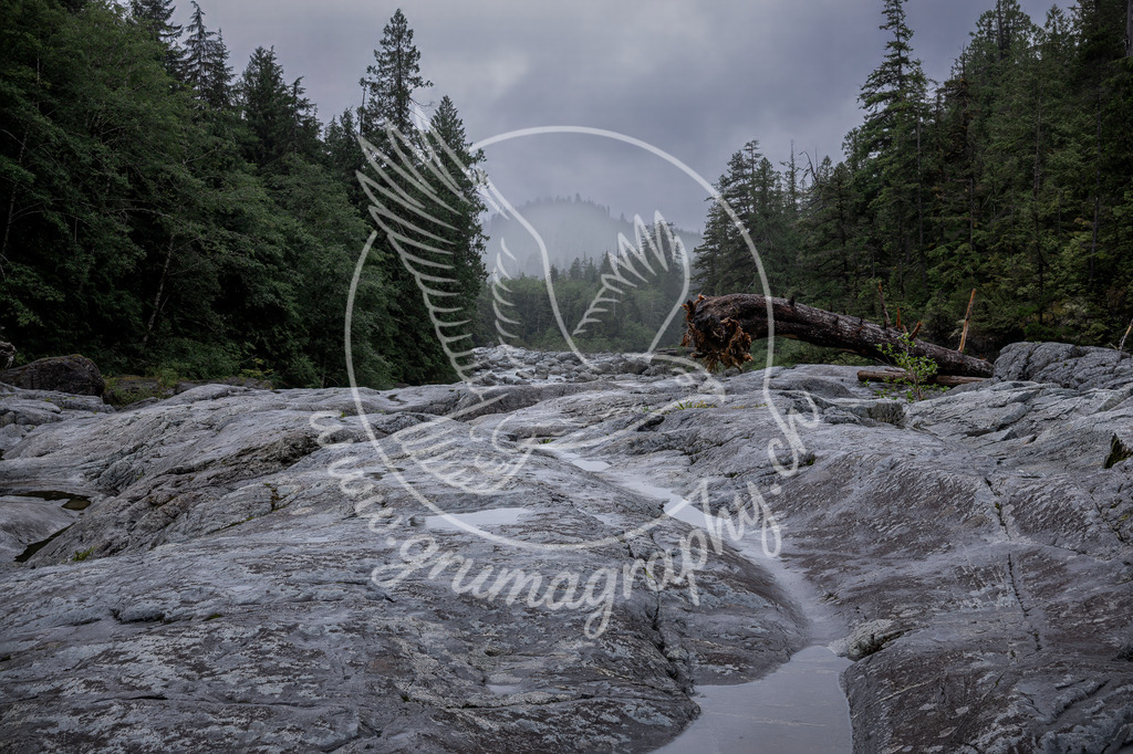 into the quiet - canada | Authentische Landschafts- & Wildtierfotografie aus der Schweiz. Hochwertige Wandbilder, Fine-Art-Prints und Wunschmotive nach Auftrag – sorgfältig entwickelt im Grumagraphy-Style