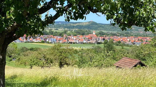 IMG_8278 | Fotografie mit dem Blick für's Wesentliche - empathisch, natürlich, detailverliebt - oftmals anders als gewöhnlich und definitiv "echt".In meinem Shop findest du in Themen-Galerien Motive für deine Räume.