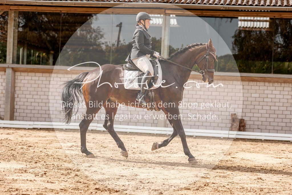 3I6A3575 | Stimmungsvolle Portraits und Reitsportfotografie im Ruhrgebiet und im Münsterland.

Pferdefotografie, Hundefotografie, Tierfotografie, Reportagen, Portraits von Tier und Mensch, Turnierfotografie in Bochum, Recklinghausen, Marl, Haltern am See, Dülmen.. - Realisiert mit Pictrs.com