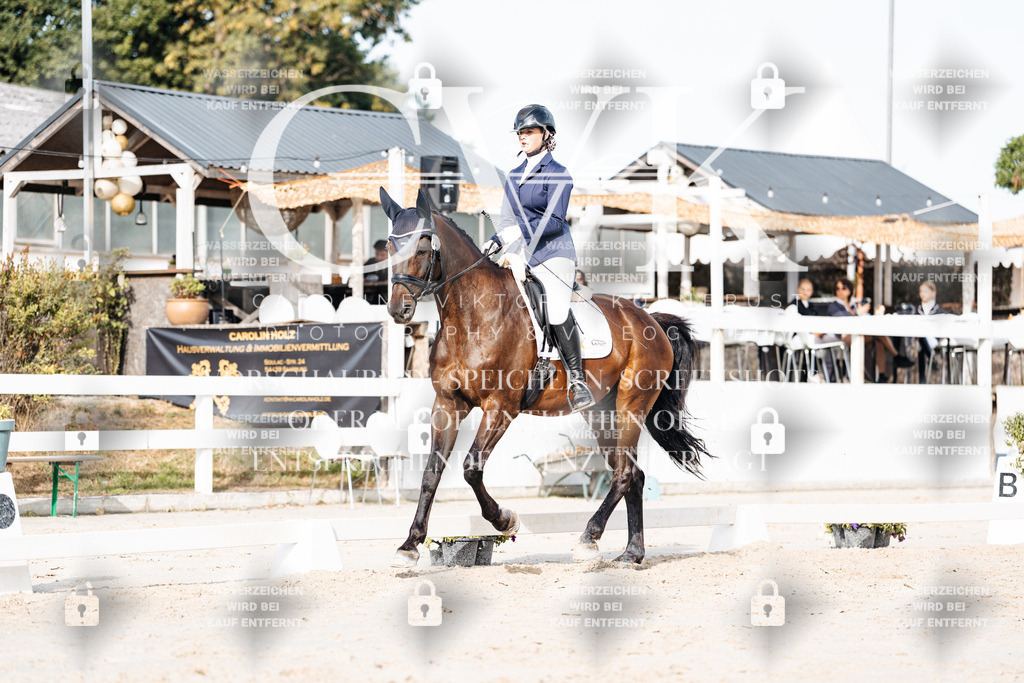 CK905077 | Turnierfotografie Pferdefotografie Trier Rheinland-Pfalz Pferdesport Reitsport Tierfotografie Sportfotografie Pferdevideo Pferdevideografie Equestrianvideography equestrianphotography  - Realisiert mit Pictrs.com