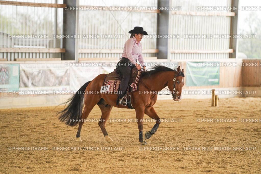 DSC00179 | Pferdegrafie