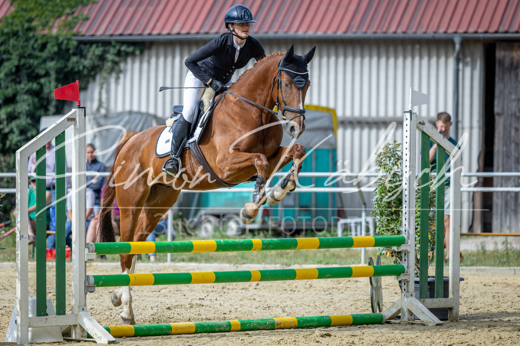 20260704-_3LI6960 | Tierfotografie Pferde, Hunde, Katzen, Haustiere.
Turnierfotografie Reitturniere, Reiten, Springreiten, Dressur in Hanau, dem Main-Kinzig-Kreis und dem Rhein-Main- Gebiet um Frankfurt
