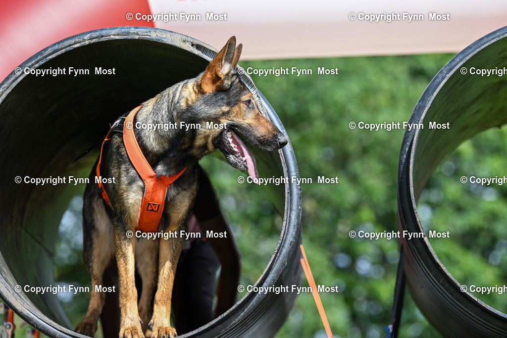 DSC_2425 | Hallo und herzlich Willkommen auf meiner Shop-Seite Fynn Most.

Ich wünsche Dir viel Spaß beim stöbern durch die Bilder, wenn Du Fragen hast oder Bilder vermisst, kannst du mir gerne eine Nachricht schreiben. - Realisiert mit Pictrs.com