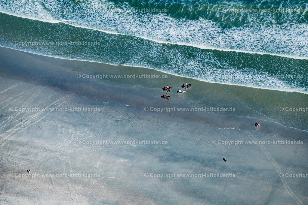 Norderney_Strand_Reiter_ELS_6650050923 | NORDERNEY 05.09.2023 Reiter mit ihren Pferden im Wasser und am Sandstrand-des Nordstrandes der Insel Norderney im Bundesland Niedersachsen, Deutschland. // Riders with their horses in the water and on the sandy beach of the northern beach of the island of Norderney in the state of Lower Saxony, Germany. Foto: Martin Elsen