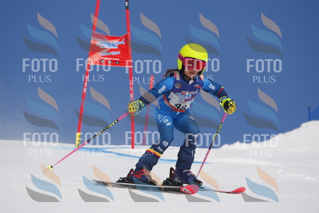 _W1G0702 | holidayphoto