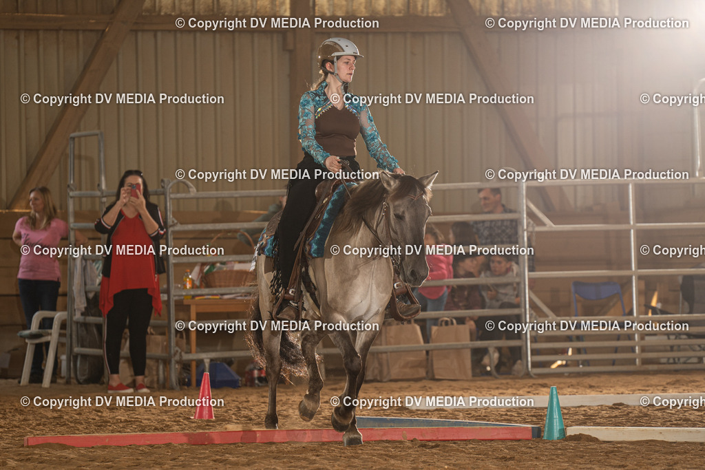 NID02546 | dv-media-shop - Realisiert mit Pictrs.com