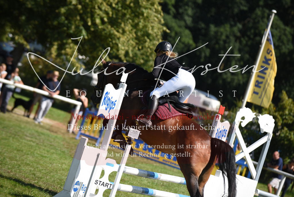 DSC_9550 | Pferde- und Turnierfotografie in Westsachsen. Pferdeportraits, Auftragszeichnungen und intuitive Kunst.