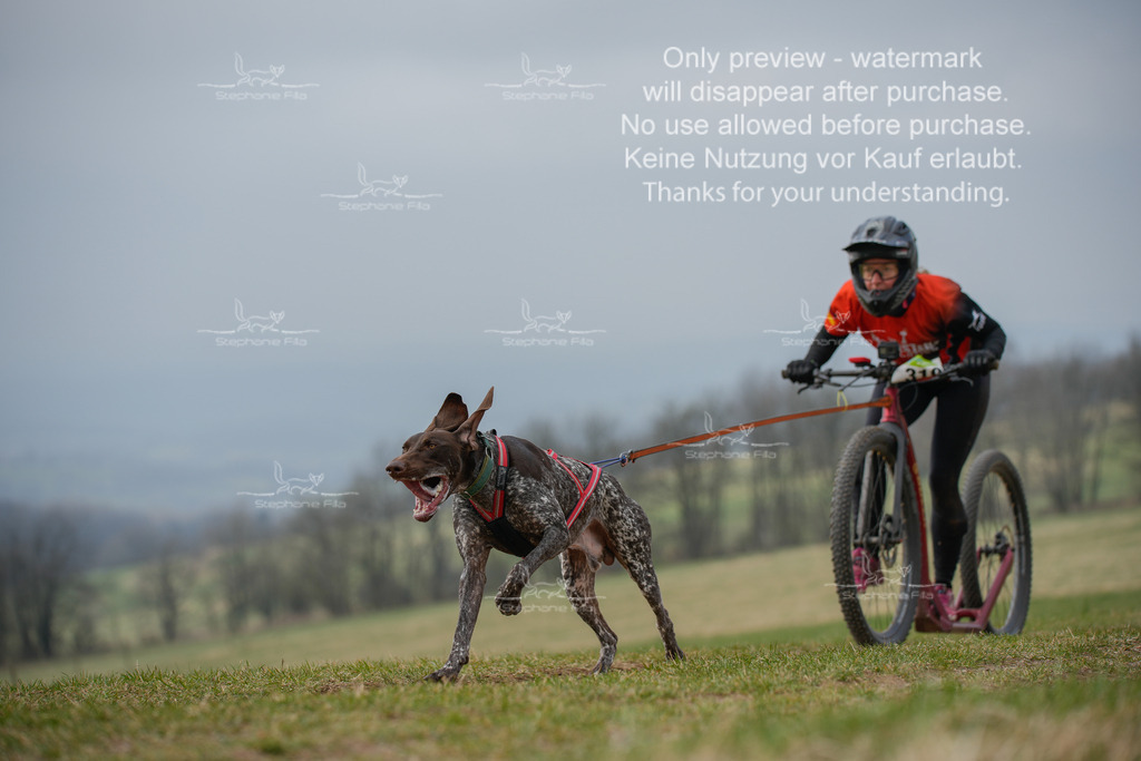 ScooterSA-92 | stephaniefillaphotographie - Realisiert mit Pictrs.com