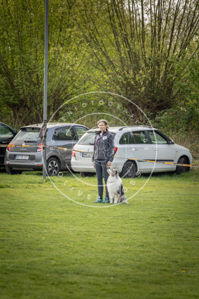 Pfotenfotografie_DV3A4908 | Hundefotografie, Tierfotograf, Pfotenfotografie, Fotoshooting Hund, Hunde Portrait, Hundesport, Hundeportraits, Heideshooting, Hunde, Sportfotograf, Hundefotograf, Turnierhundsport, THS,  - Realisiert mit Pictrs.com